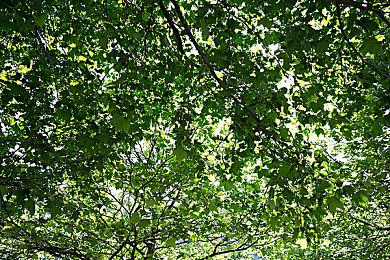 发售十天后 《对马岛之鬼》仍然是Steam畅销榜游戏