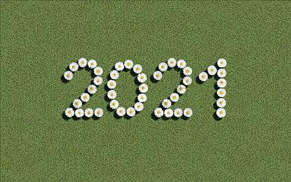 “好评如潮”可爱治愈贴纸DIY游戏《小小贴纸铺》推出免费内容更新